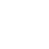 DWIG Logo